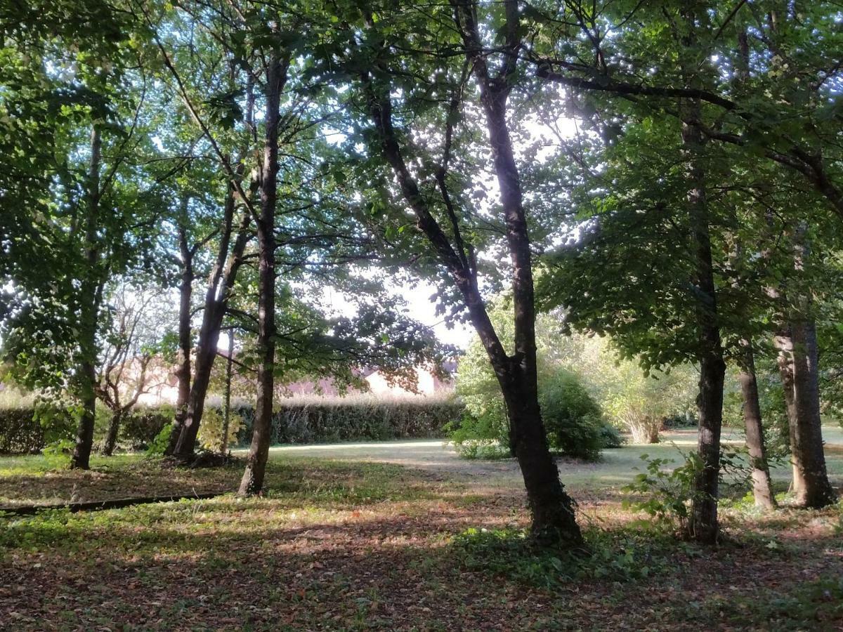 Hotel Au Cocon de Sologne Soings-en-Sologne Esterno foto
